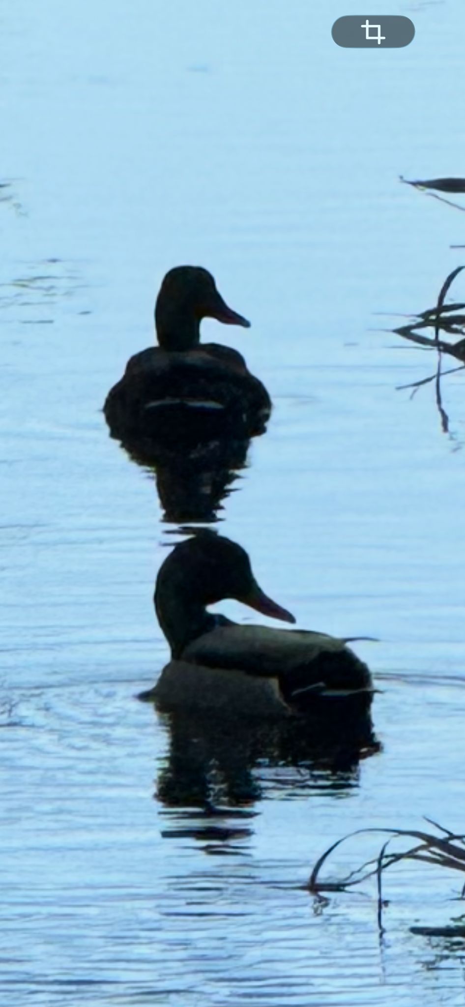 Zen.nl, Zen, meditatie, leren mediteren, foto